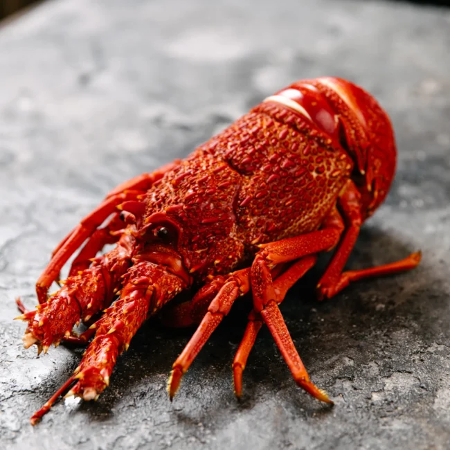 Australian Cooked Crayfish